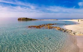 Nissi Golden Sand Lovely One Bedroom Apartment With Spacious Terrace And Free Parking
